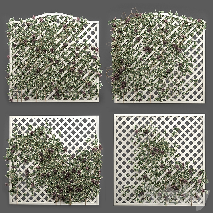 ivy grid panel( 4 different ivy composition) 3DS Max - thumbnail 1