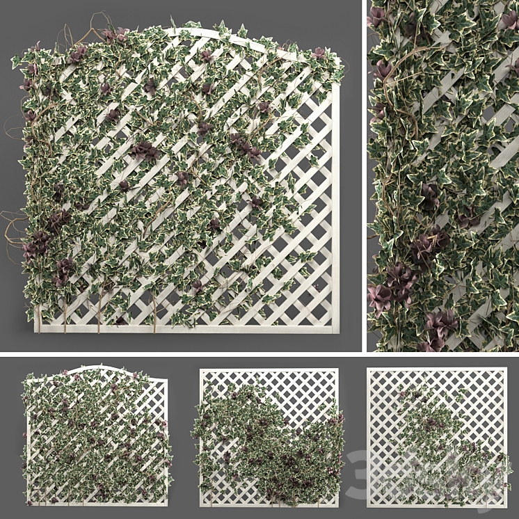 ivy grid panel( 4 different ivy composition) 3DS Max - thumbnail 2