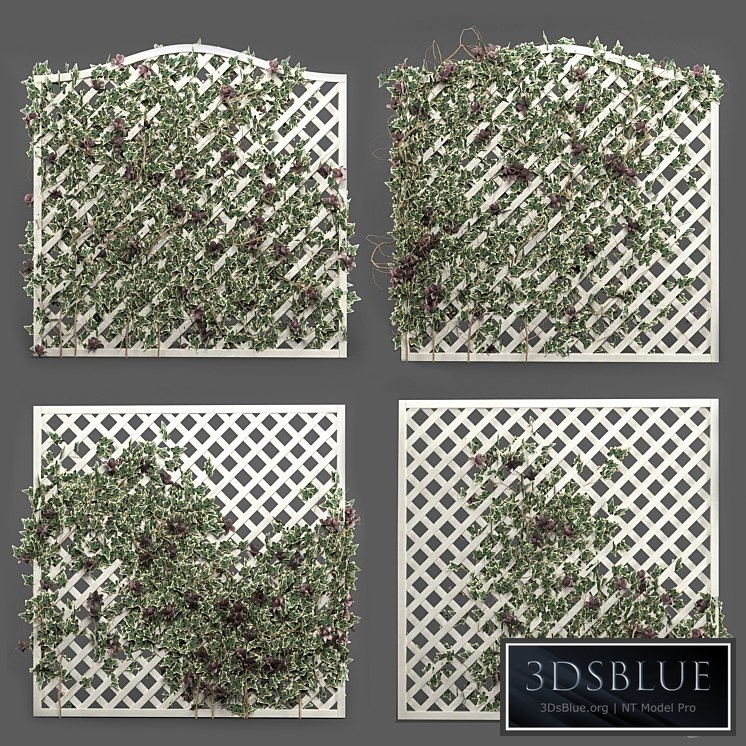 ivy grid panel( 4 different ivy composition) 3DS Max - thumbnail 3