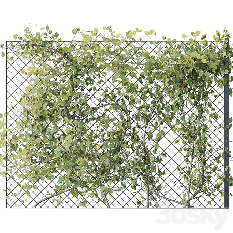 Ivy on Fence 02 3DS Max - thumbnail 2