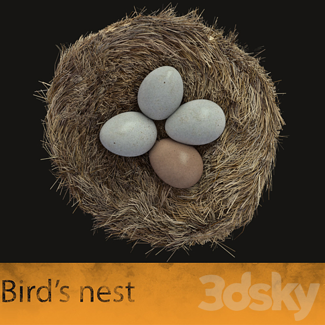 Bird’s nest 3DSMax File - thumbnail 1