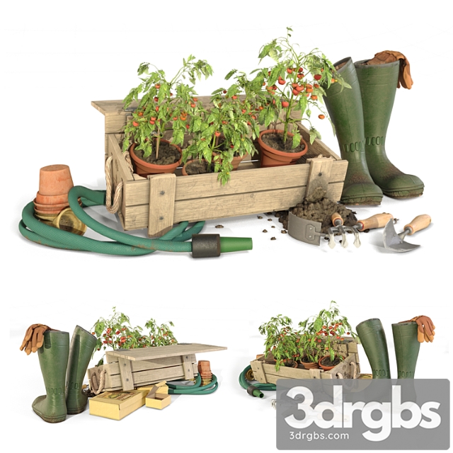 Gardener Tomato Toolkit 3dsmax Download - thumbnail 1