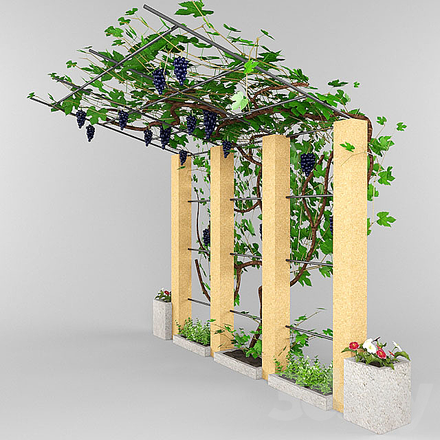 grape canopy. 3ds Max - thumbnail 1