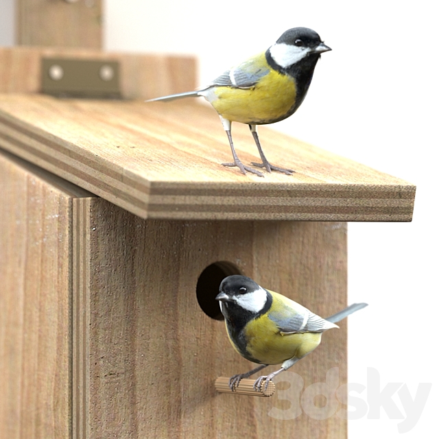 Great Tits at artificial nest 3ds Max - thumbnail 2