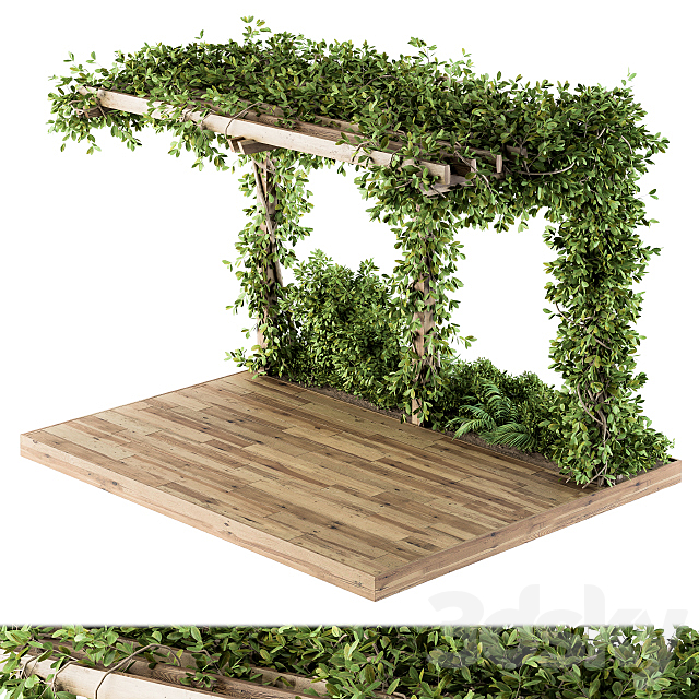 Ivy Plants on Pergola 3DSMax File - thumbnail 1