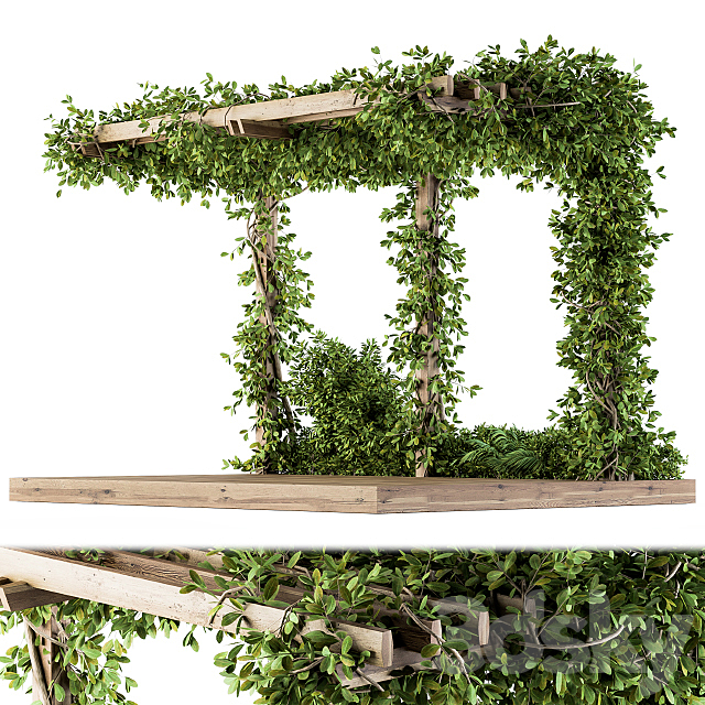 Ivy Plants on Pergola 3DSMax File - thumbnail 2