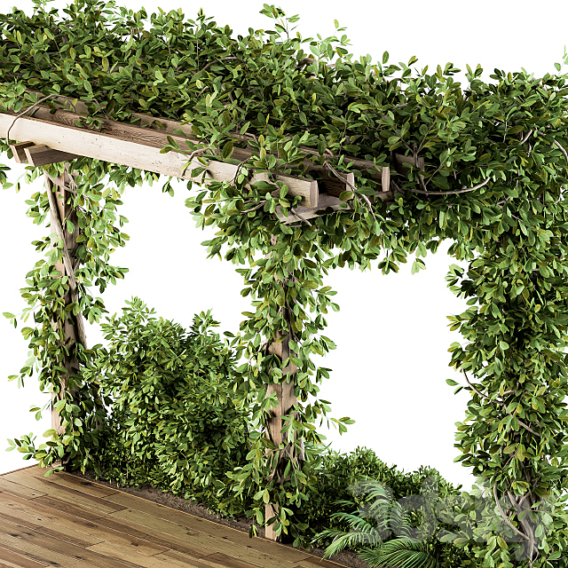 Ivy Plants on Pergola 3DSMax File - thumbnail 3