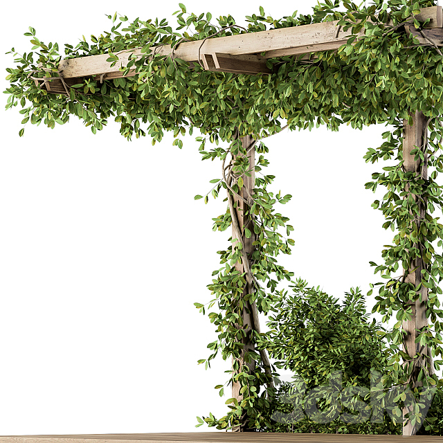 Ivy Plants on Pergola 3DSMax File - thumbnail 4