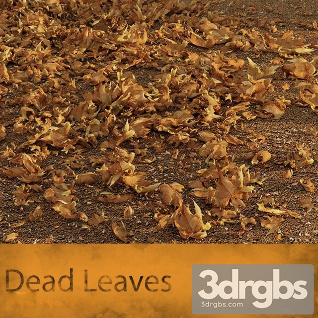 Maple Leaves 3dsmax Download - thumbnail 1