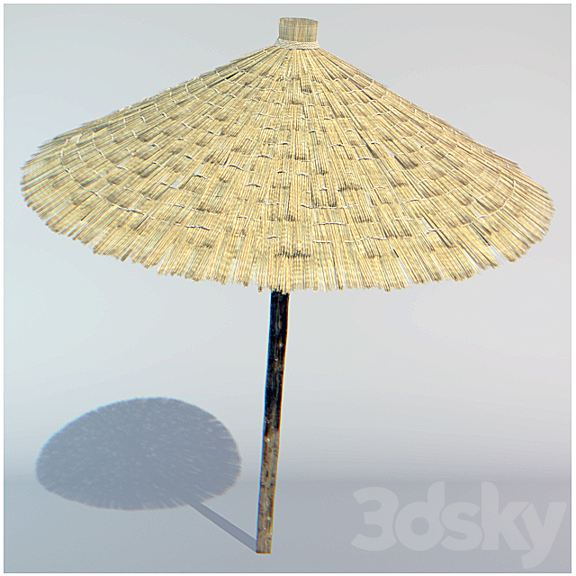 parasol made of straw 3ds Max - thumbnail 1