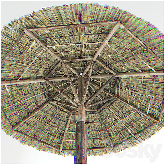 parasol made of straw 3ds Max - thumbnail 2