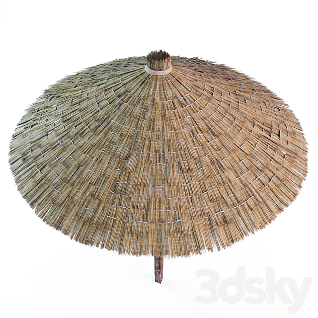 parasol made of straw 3ds Max - thumbnail 3