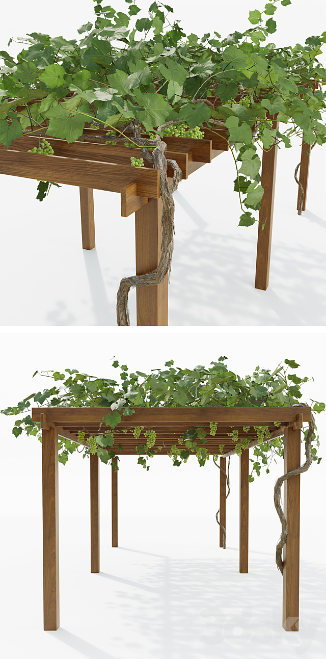 Pergola with grapes 3DSMax File - thumbnail 2