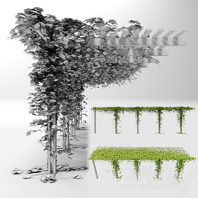 Pergola with hedera helix goldchild ivy 3ds Max - thumbnail 2