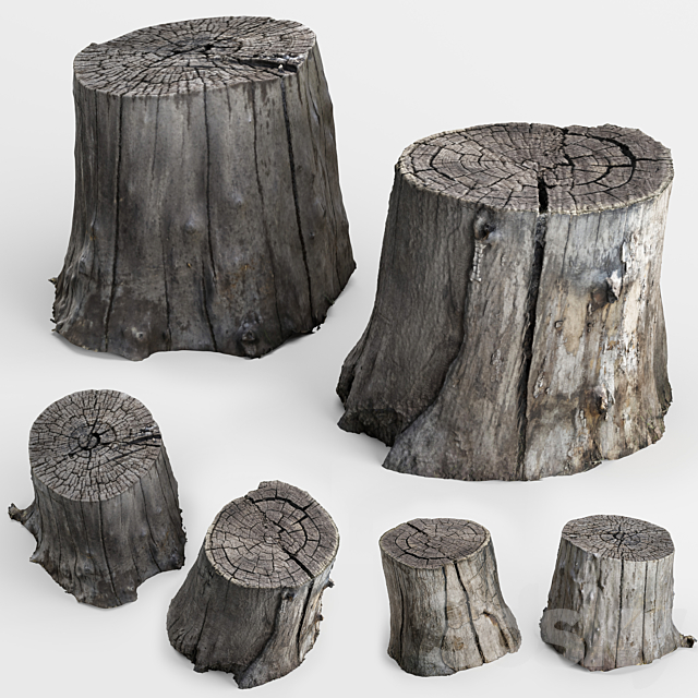 photoscan of two stumps 3DSMax File - thumbnail 1