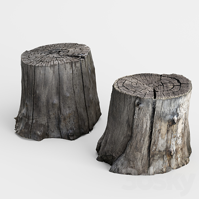 photoscan of two stumps 3DSMax File - thumbnail 3