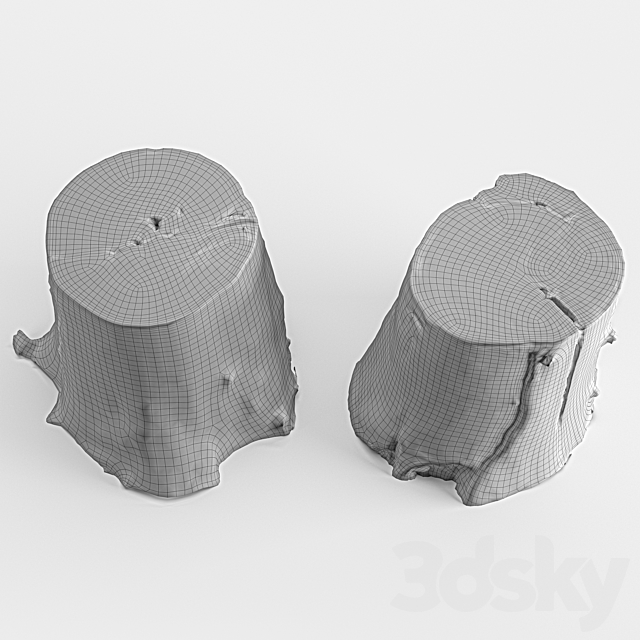 photoscan of two stumps 3DSMax File - thumbnail 4