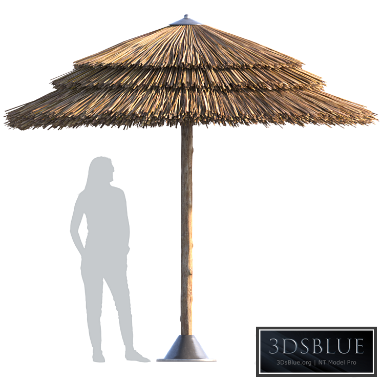 Beach umbrella 3DS Max - thumbnail 3