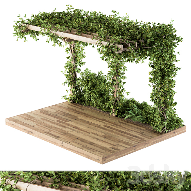 Ivy Plants on Pergola 3DS Max - thumbnail 1