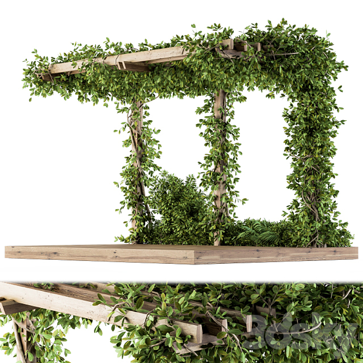 Ivy Plants on Pergola 3DS Max - thumbnail 2