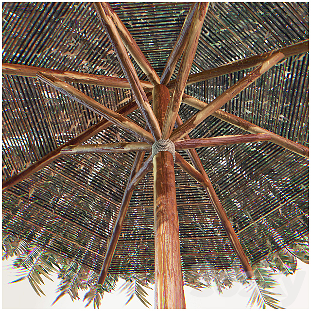 parasol from the leaves of cane 3DS Max Model - thumbnail 2