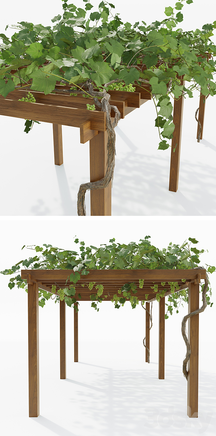 Pergola with grapes 3DS Max - thumbnail 2