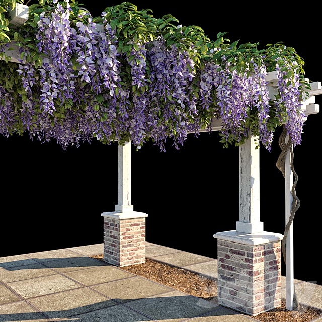 Pergola with Wisteria (Pergola with Wisteria) 3DS Max Model - thumbnail 4