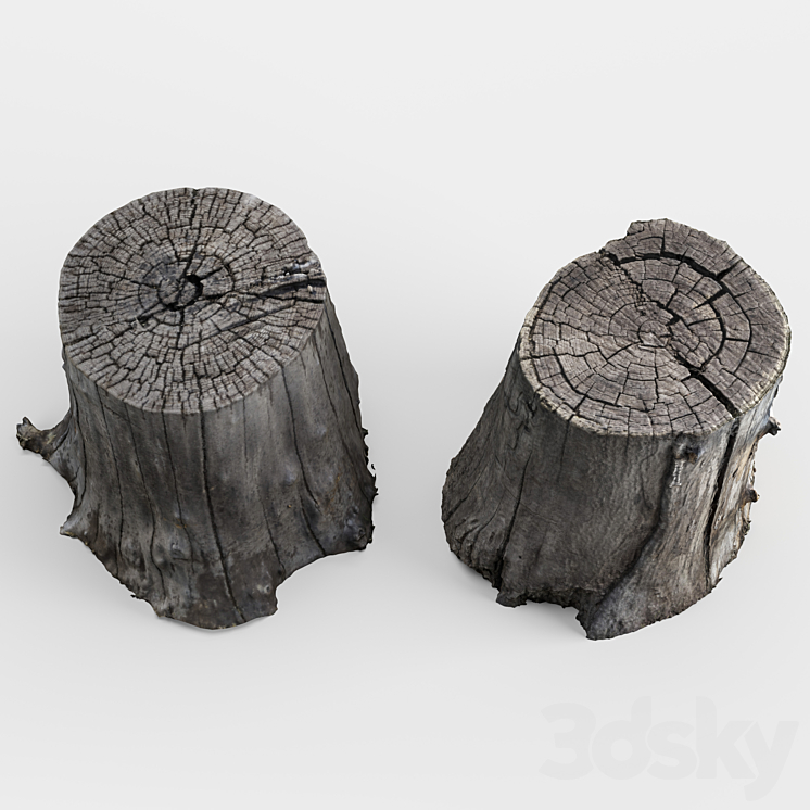 photoscan of two stumps 3DS Max - thumbnail 2