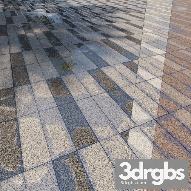 Paving Slabs Belpasso Premium Type 19 XP 3dsmax Download - thumbnail 1