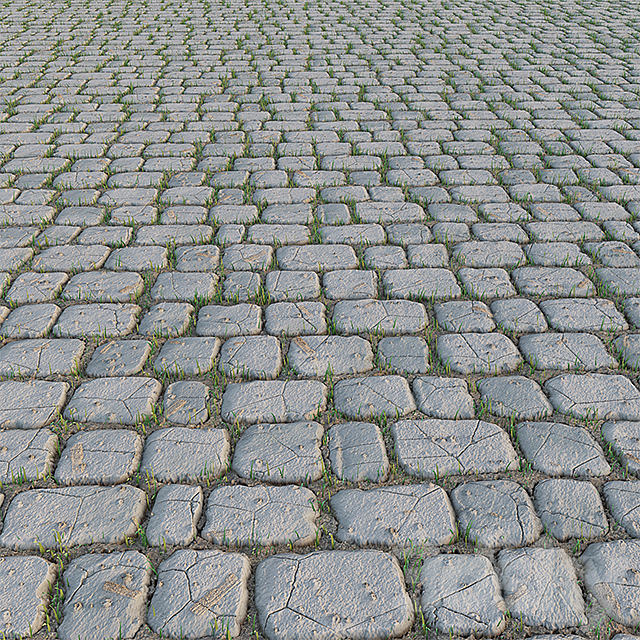 Paving Stone and Grass 3ds Max - thumbnail 1