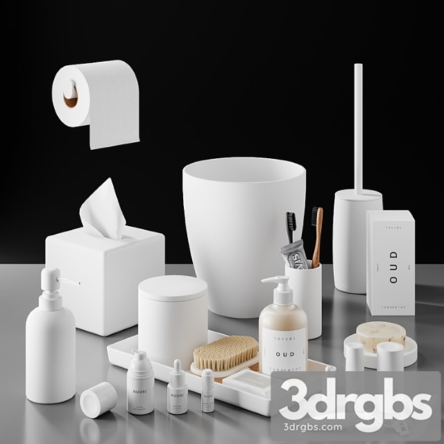 Bathroom Accessories 3 2 3dsmax Download - thumbnail 1