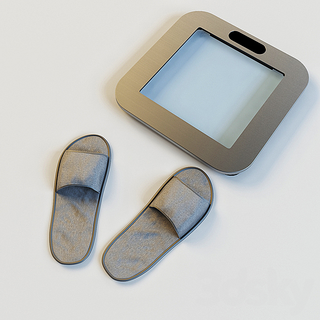 Scales and slippers 3ds Max - thumbnail 1