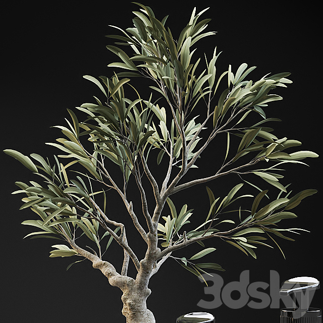 Tiny bonsai olive tree in stone pot with decor set for bathroom 3DS Max Model - thumbnail 4