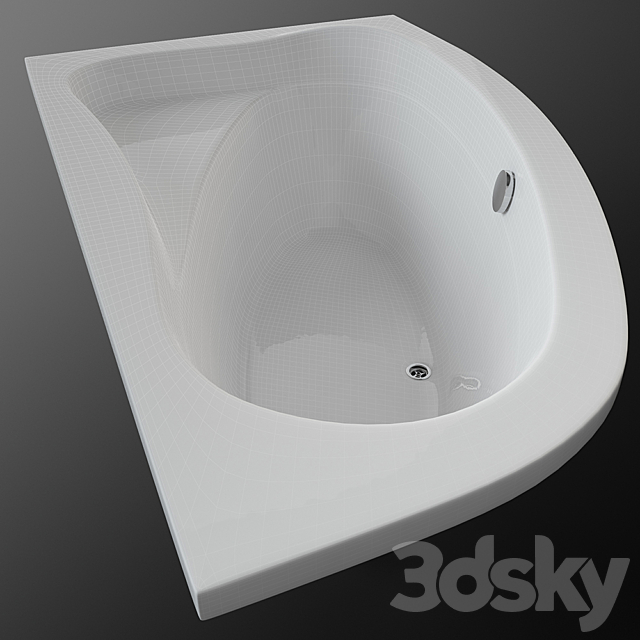 Bath Acrylic asymmetric Riho Lyra 3DS Max Model - thumbnail 2