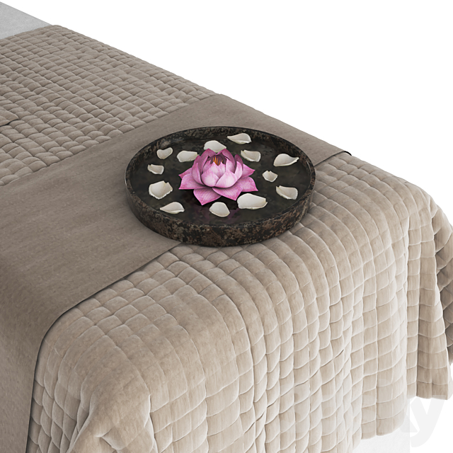 Massage table 3DSMax File - thumbnail 2