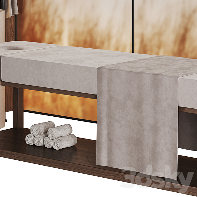 Modern minimalistic spa with wheat ears behind glass 3DS Max Model - thumbnail 3