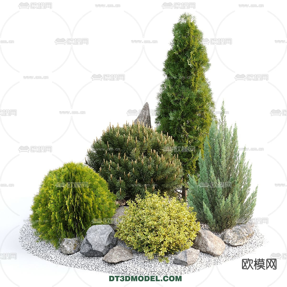 PLANTS – BUSH – CORONA – 3D MODEL – 311 - thumbnail 1