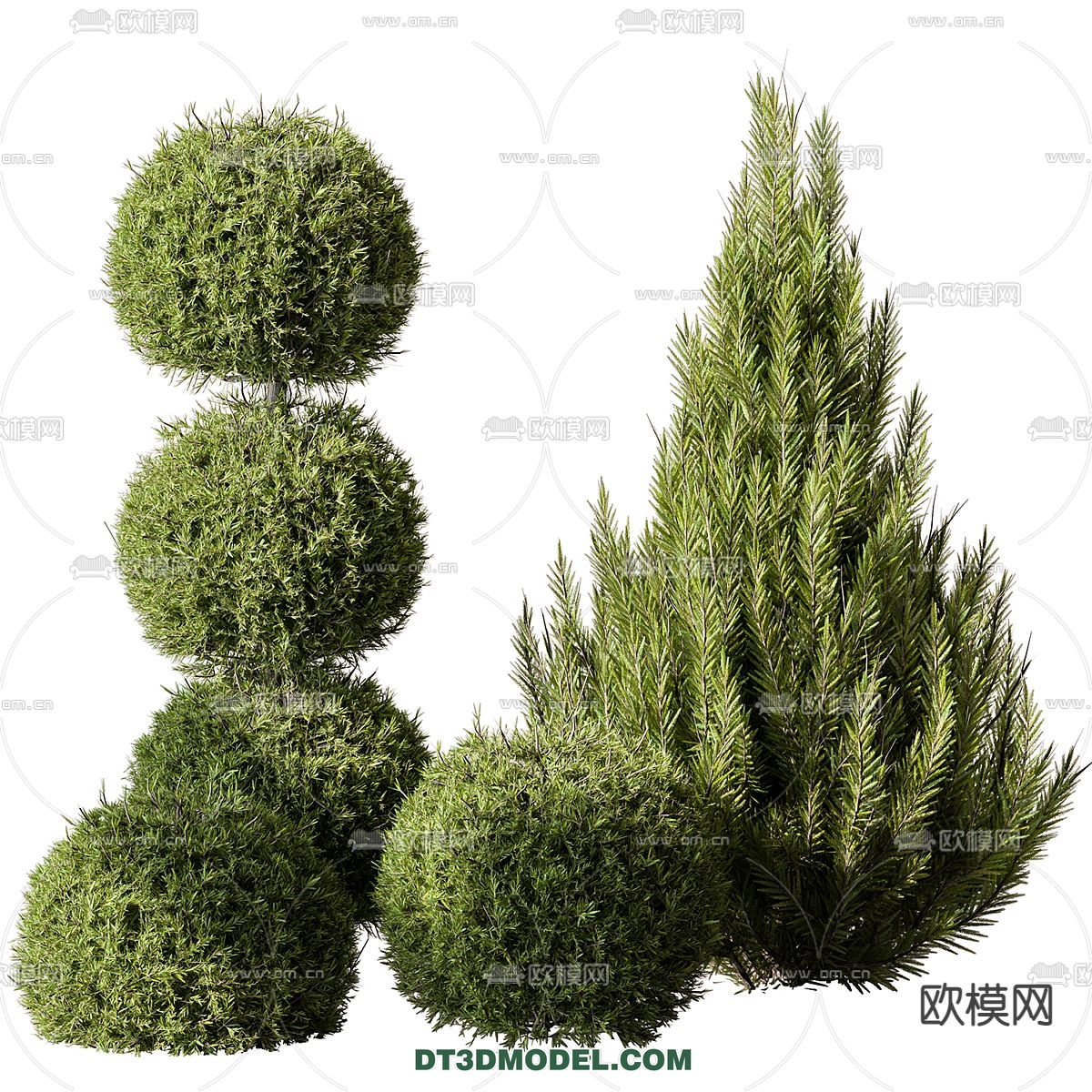 PLANTS – BUSH – CORONA – 3D MODEL – 351 - thumbnail 1