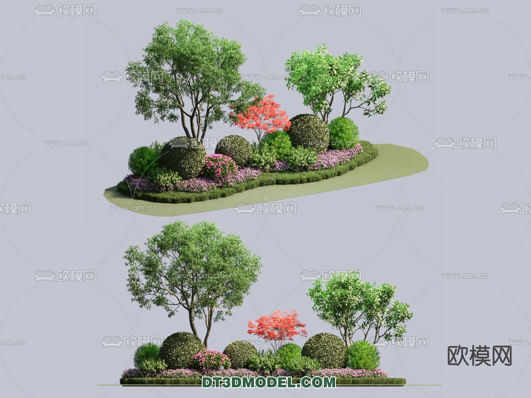 PLANTS – BUSH – CORONA – 3D MODEL – 396 - thumbnail 1