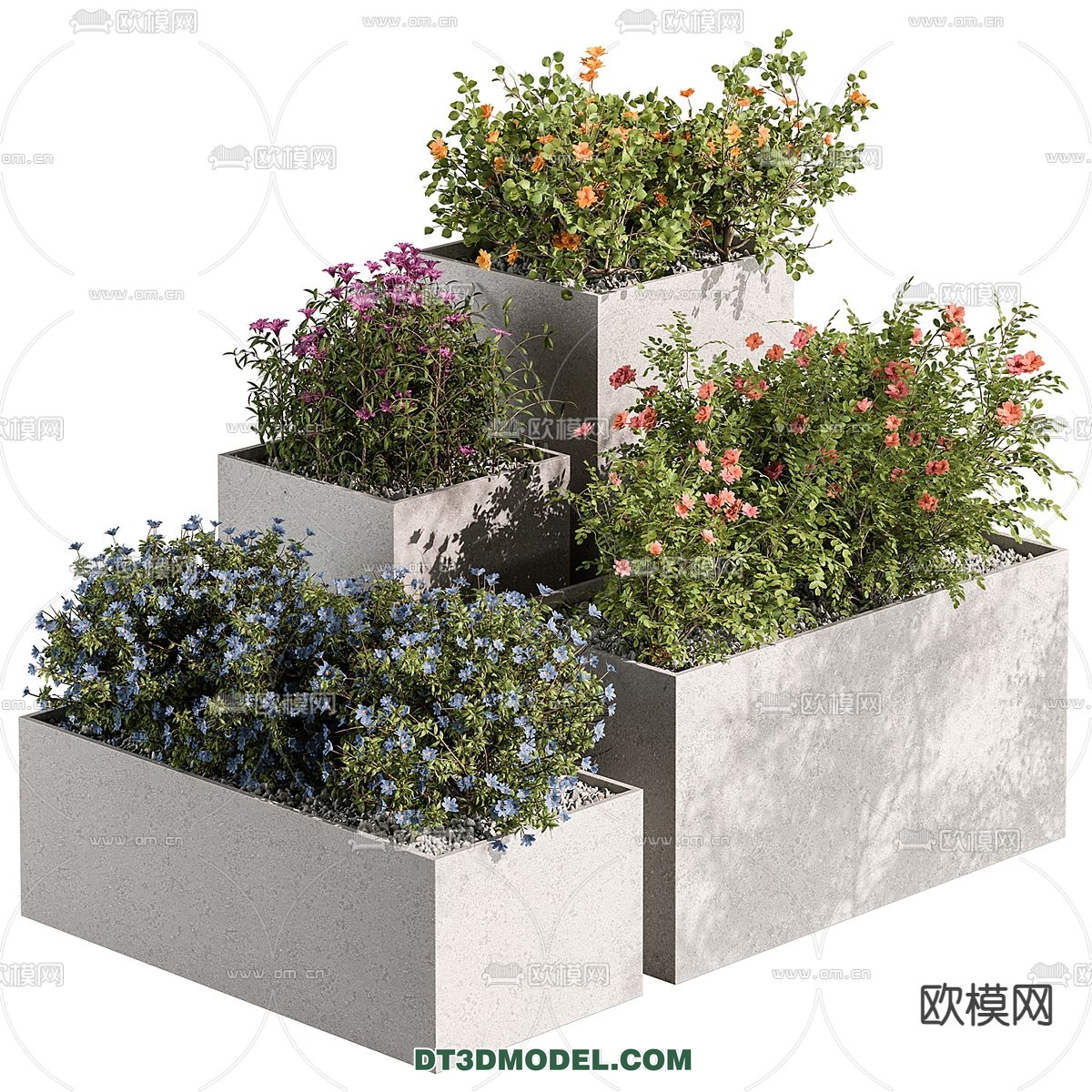 PLANTS – BUSH – CORONA – 3D MODEL – 399 - thumbnail 1