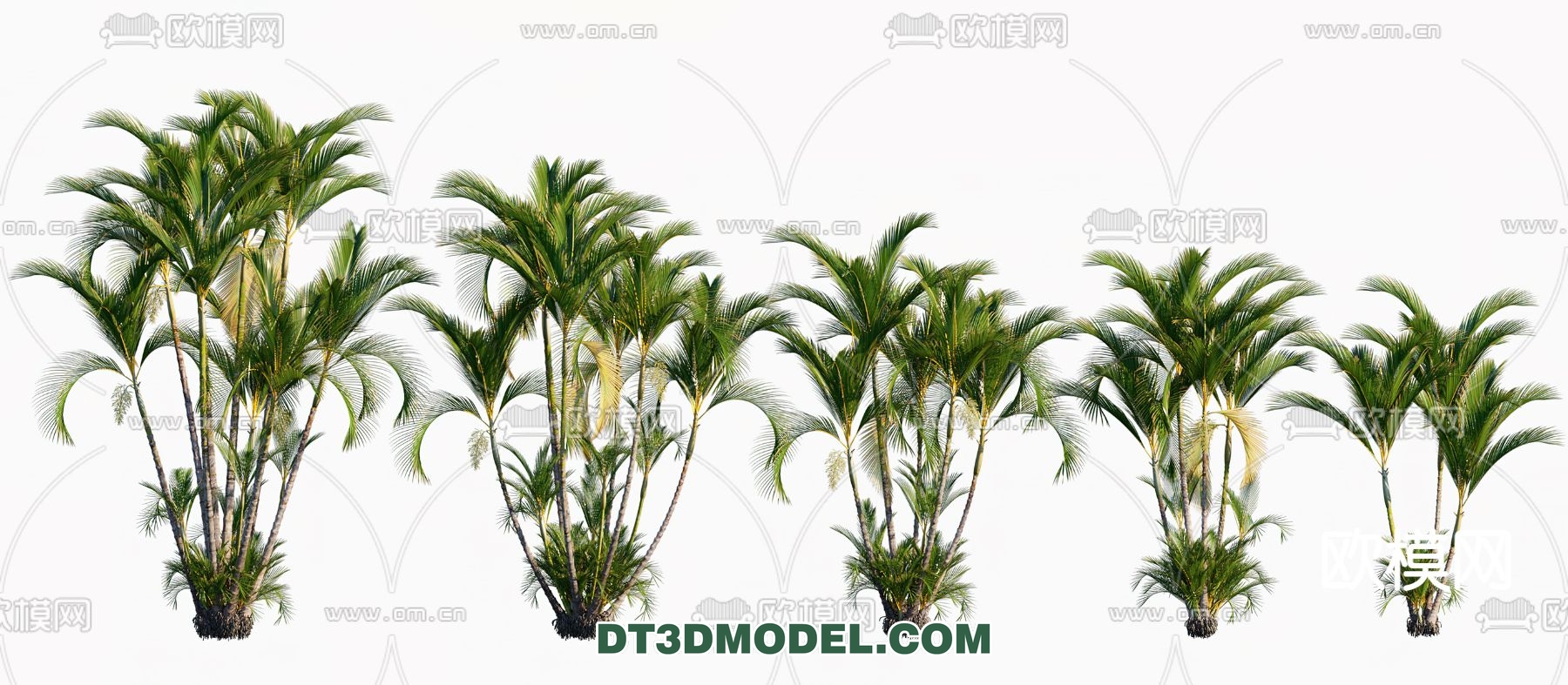 PLANTS – BUSH – VRAY / CORONA – 3D MODEL – 252 - thumbnail 1