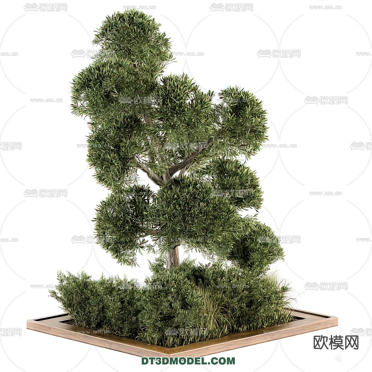 PLANTS – BUSH – VRAY / CORONA – 3D MODEL – 253 - thumbnail 1