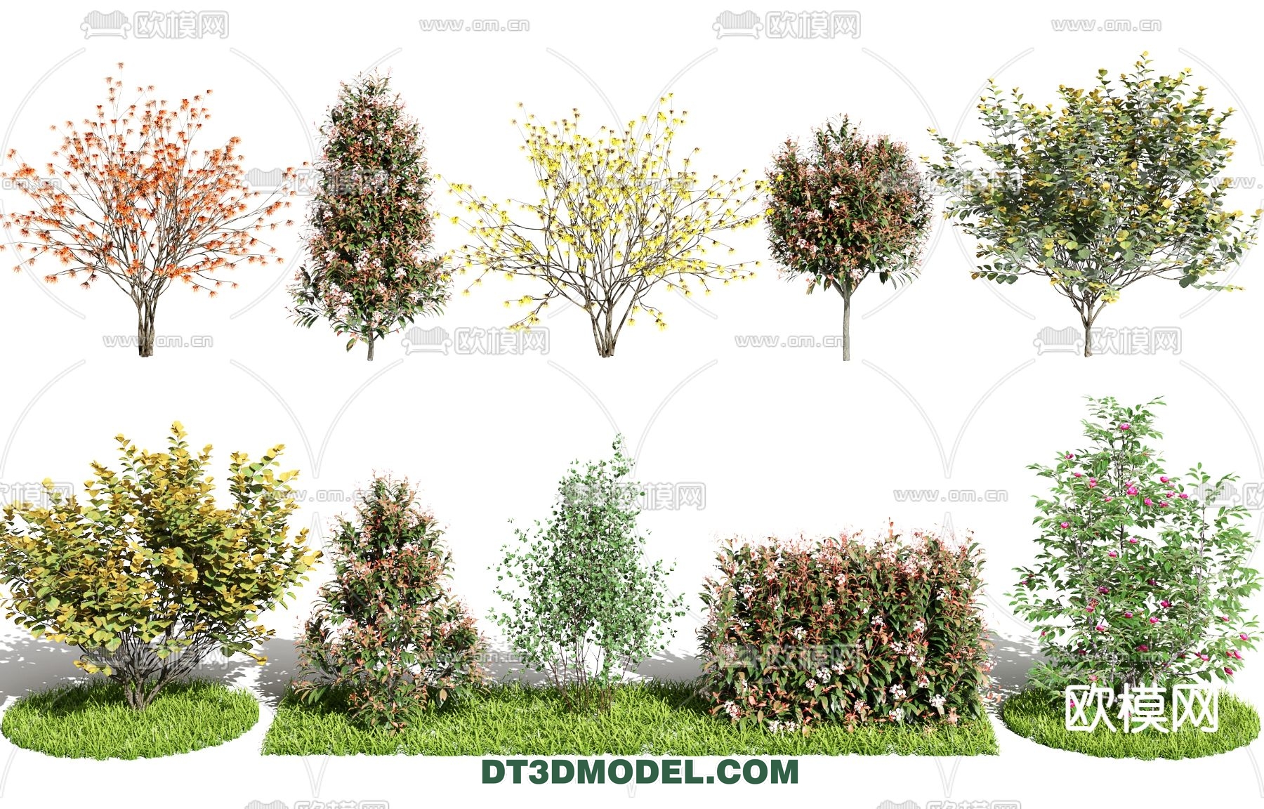 PLANTS – BUSH – VRAY / CORONA – 3D MODEL – 254 - thumbnail 1