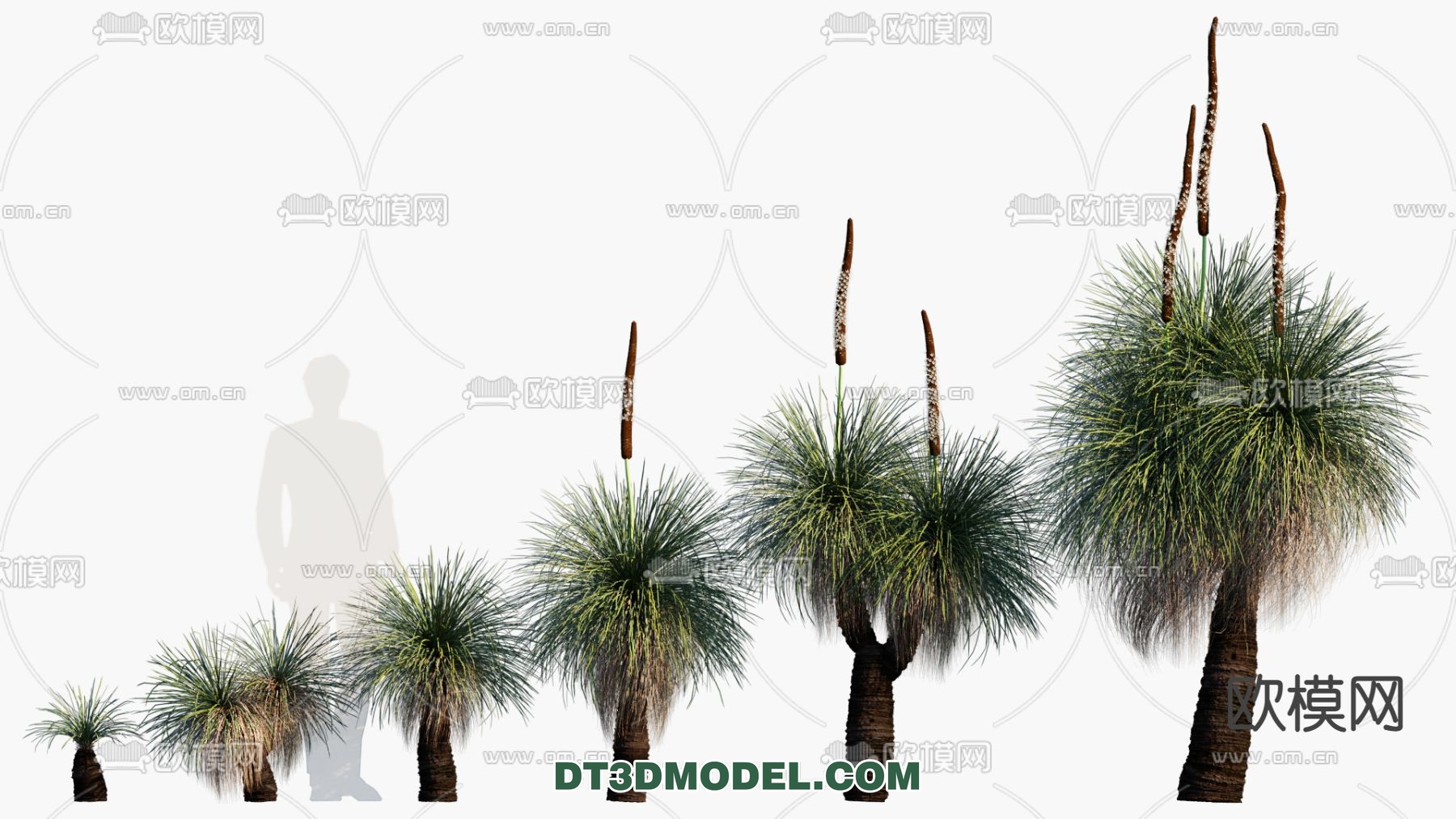 PLANTS – BUSH – VRAY / CORONA – 3D MODEL – 256 - thumbnail 1