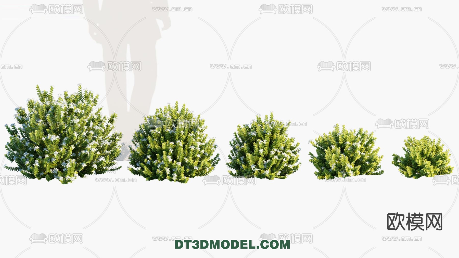 PLANTS – BUSH – VRAY / CORONA – 3D MODEL – 257 - thumbnail 1