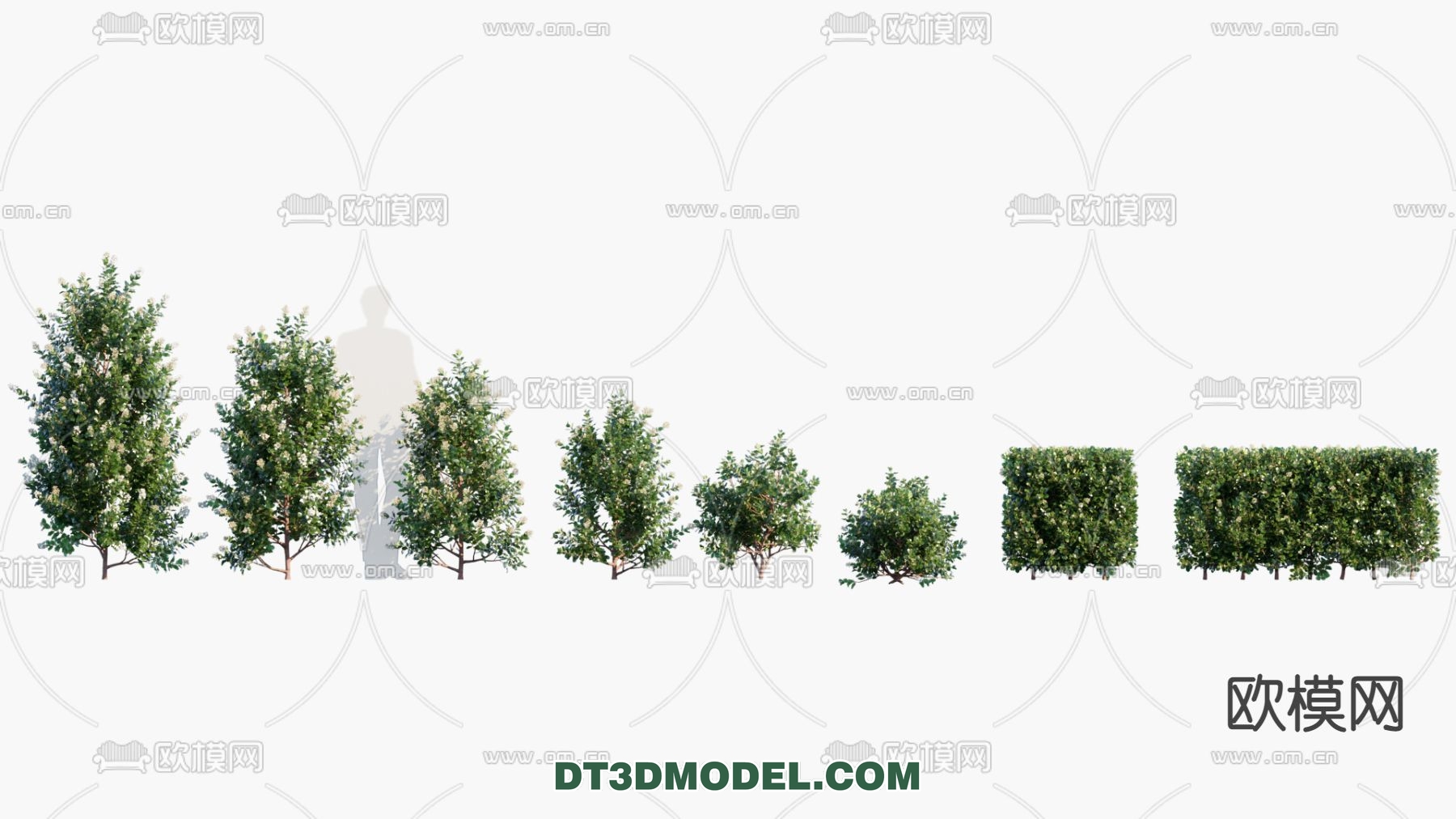 PLANTS – BUSH – VRAY / CORONA – 3D MODEL – 258 - thumbnail 1