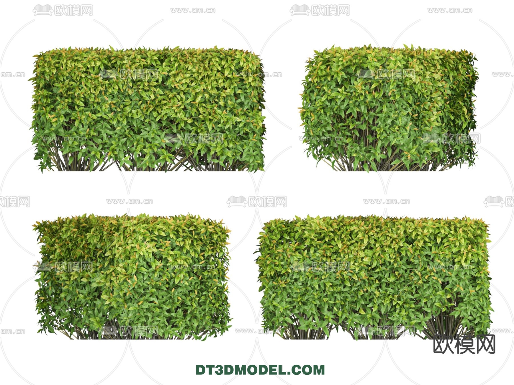 PLANTS – BUSH – VRAY / CORONA – 3D MODEL – 259 - thumbnail 1