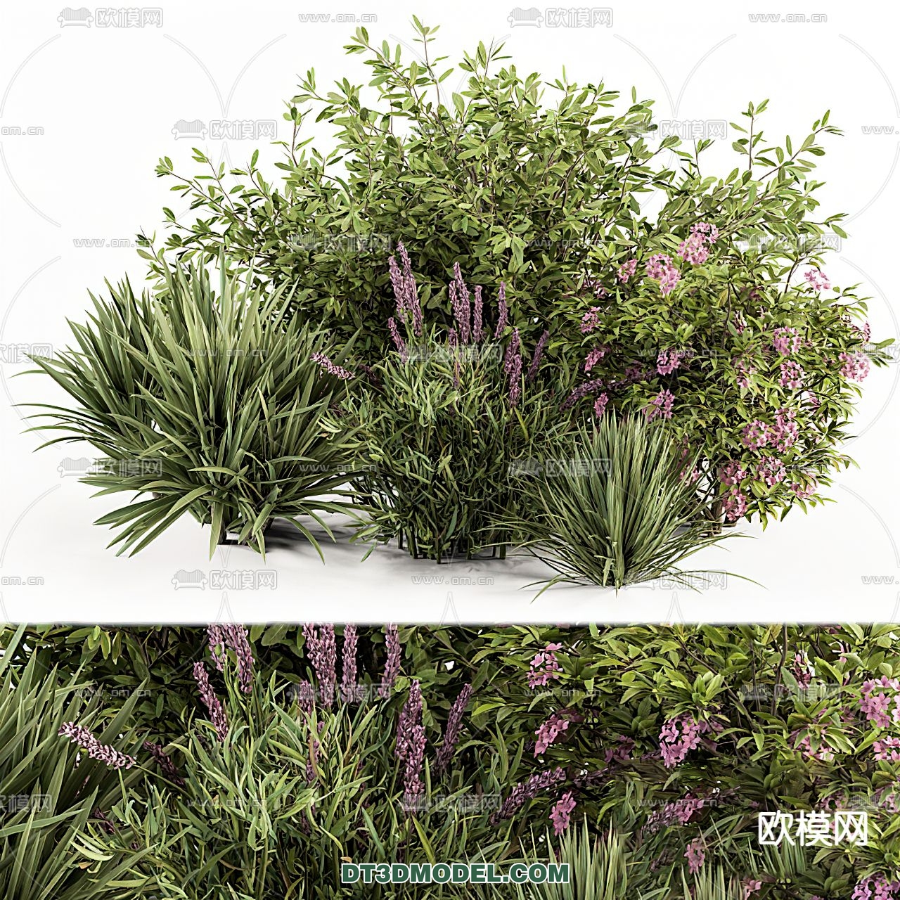 PLANTS – BUSH – VRAY / CORONA – 3D MODEL – 261 - thumbnail 1