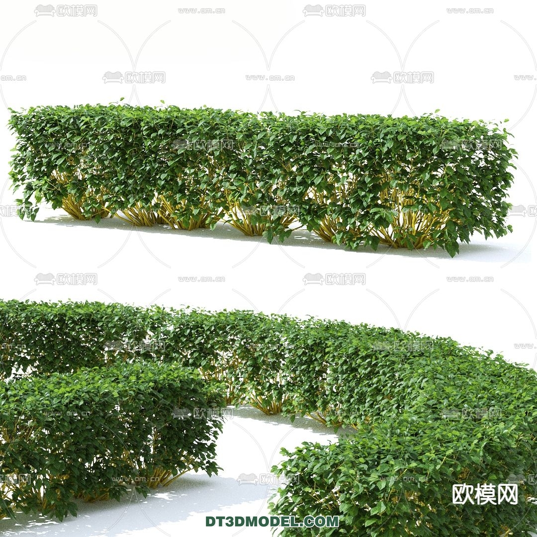 PLANTS – BUSH – VRAY / CORONA – 3D MODEL – 272 - thumbnail 1