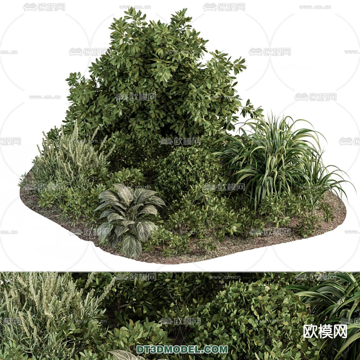 PLANTS – BUSH – VRAY / CORONA – 3D MODEL – 277 - thumbnail 1